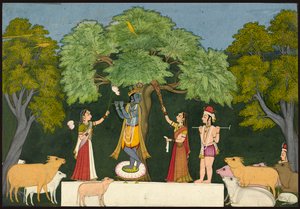 Krishna intrattiene i suoi compagni da Unknown artist
