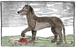 La bestia del Gévaudan, incisione da 