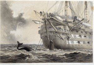 Posa del cavo telegrafico atlantico, una balena intorno alla barca da Unknown artist