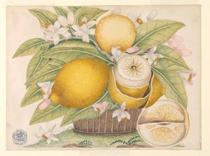 Limoni e fiori di limone in un cesto da Unknown artist