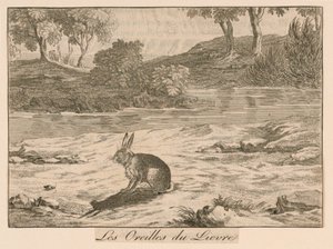"Le Orecchie della Lepre" dalle Favole di La Fontaine