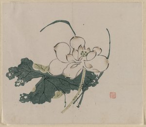 Fiore di loto da Unknown artist