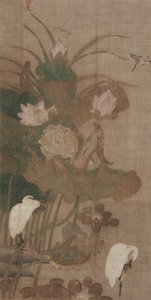 Loti, insetti e uccelli da Unknown artist