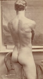 [Male nude study]