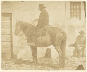 [Uomo a cavallo]