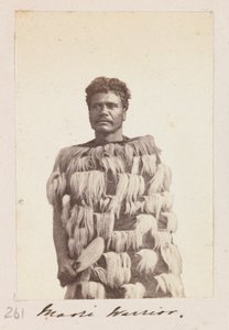Guerriero Maori, c.1876 da Unknown artist