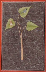 Markandeya che Guarda Krishna nell