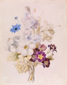 Narciso e altri fiori da Unknown artist