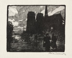 Notre Dame, la Sera