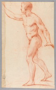 Uomo nudo