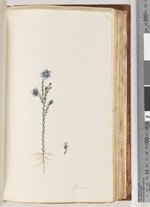 Pagina 102. Lino da Unknown artist