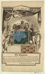 Pagina dal Repository di Ackermann da Unknown artist