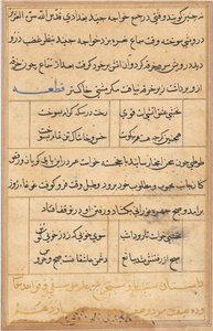 Pagina dai Racconti di un pappagallo (Tuti-nama): pagina di testo da Unknown artist