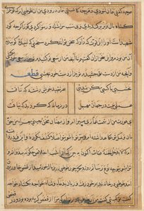 Pagina dai Racconti di un pappagallo (Tuti-nama): pagina di testo da Unknown artist