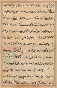 Pagina da Tales of a Parrot (Tuti-nama): pagina di testo da Unknown artist