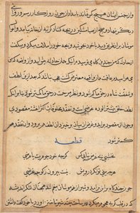 Pagina da Tales of a Parrot (Tuti-nama): pagina di testo da Unknown artist