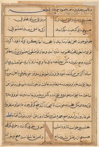 Pagina da Tales of a Parrot (Tuti-nama): pagina di testo