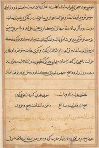 Pagina da Tales of a Parrot (Tuti-nama): pagina di testo da Unknown artist