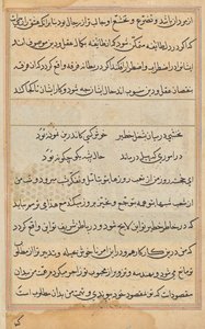Pagina da Tales of a Parrot (Tuti-nama): pagina di testo da Unknown artist
