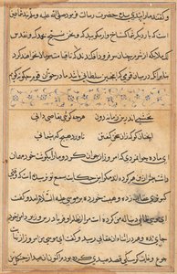 Pagina da Tales of a Parrot (Tuti-nama): pagina di testo da Unknown artist