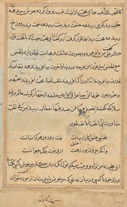 Pagina da Racconti di un pappagallo (Tuti-nama): pagina di testo da Unknown artist