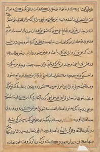 Pagina da Racconti di un pappagallo (Tuti-nama): pagina di testo da Unknown artist