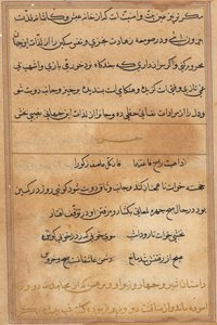 Pagina da Racconti di un pappagallo (Tuti-nama): pagina di testo