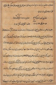 Pagina da Racconti di un pappagallo (Tuti-nama): pagina di testo da Unknown artist