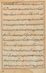 Pagina da Racconti di un pappagallo (Tuti-nama): pagina di testo da Unknown artist
