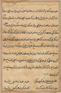 Pagina da Tales of a Parrot (Tuti-nama): pagina di testo da Unknown artist