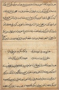 Pagina da Tales of a Parrot (Tuti-nama): pagina di testo da Unknown artist