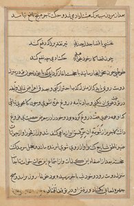 Pagina da Tales of a Parrot (Tuti-nama): pagina di testo da Unknown artist