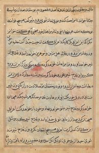 Pagina da Tales of a Parrot (Tuti-nama): pagina di testo da Unknown artist