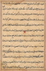 Pagina da Tales of a Parrot (Tuti-nama): pagina di testo da Unknown artist