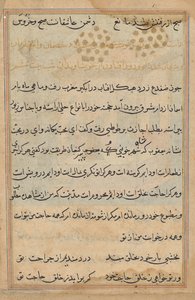 Pagina da Tales of a Parrot (Tuti-nama): pagina di testo da Unknown artist