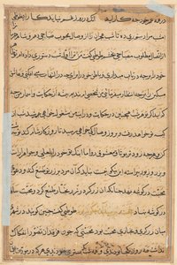 Pagina da Tales of a Parrot (Tuti-nama): pagina di testo da Unknown artist
