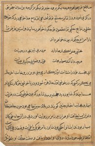 Pagina da Tales of a Parrot (Tuti-nama): pagina di testo da Unknown artist