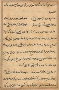 Pagina da Tales of a Parrot (Tuti-nama): pagina di testo da Unknown artist