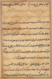 Pagina da Tales of a Parrot (Tuti-nama): pagina di testo da Unknown artist