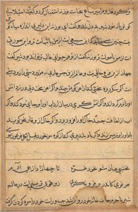 Pagina da Tales of a Parrot (Tuti-nama): pagina di testo