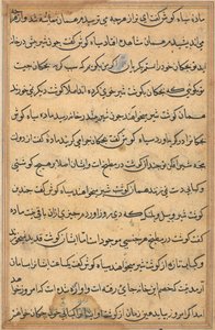 Pagina da Tales of a Parrot (Tuti-nama): pagina di testo da Unknown artist