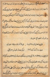 Pagina da Tales of a Parrot (Tuti-nama): pagina di testo da Unknown artist
