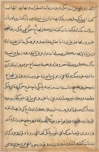 Pagina da Storie di un pappagallo (Tuti-nama): pagina di testo da Unknown artist