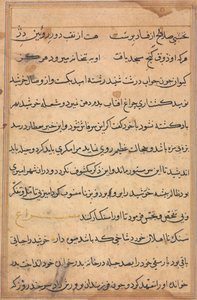 Pagina da Storie di un pappagallo (Tuti-nama): pagina di testo da Unknown artist
