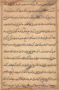 Pagina da Storie di un pappagallo (Tuti-nama): pagina di testo da Unknown artist