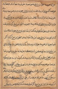 Pagina da Storie di un pappagallo (Tuti-nama): pagina di testo da Unknown artist