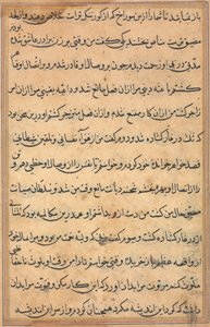 Pagina da Storie di un pappagallo (Tuti-nama): pagina di testo da Unknown artist