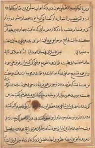 Pagina da Storie di un pappagallo (Tuti-nama): pagina di testo da Unknown artist