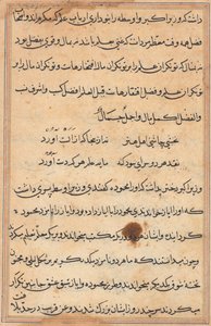 Pagina da Storie di un pappagallo (Tuti-nama): pagina di testo da Unknown artist