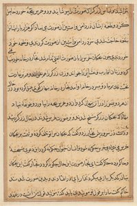 Pagina da Storie di un pappagallo (Tuti-nama): pagina di testo da Unknown artist